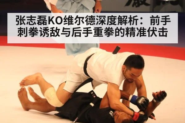 张志磊KO维尔德深度解析：前手刺拳诱敌与后手重拳的精准伏击