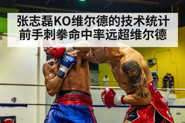 张志磊KO维尔德的技术统计 前手刺拳命中率远超维尔德
